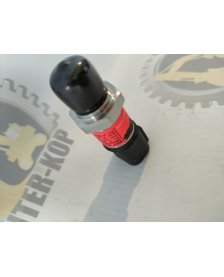 Zawór Elektryczny Ciśnienienia Podpór - 332/D1796